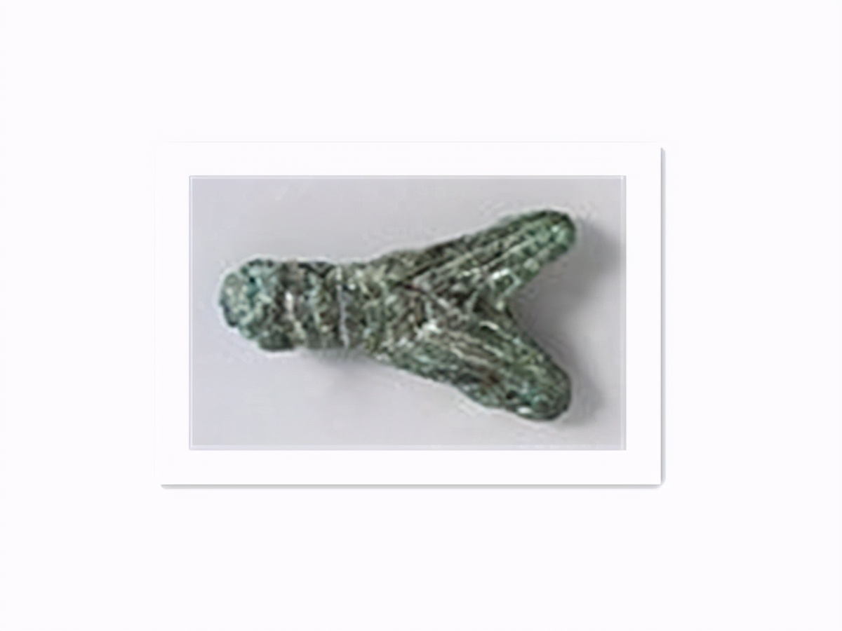 从苍蝇的贡献中得到的启示,苍蝇有哪些科学贡献