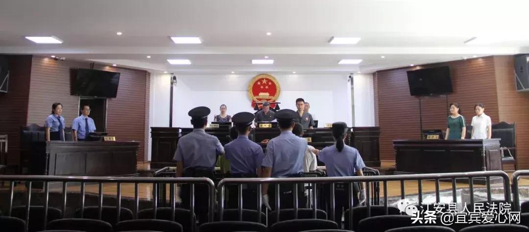 长记性啦,为啥在宜宾不能乱捕泥鳅黄鳝?江安县法院有话说