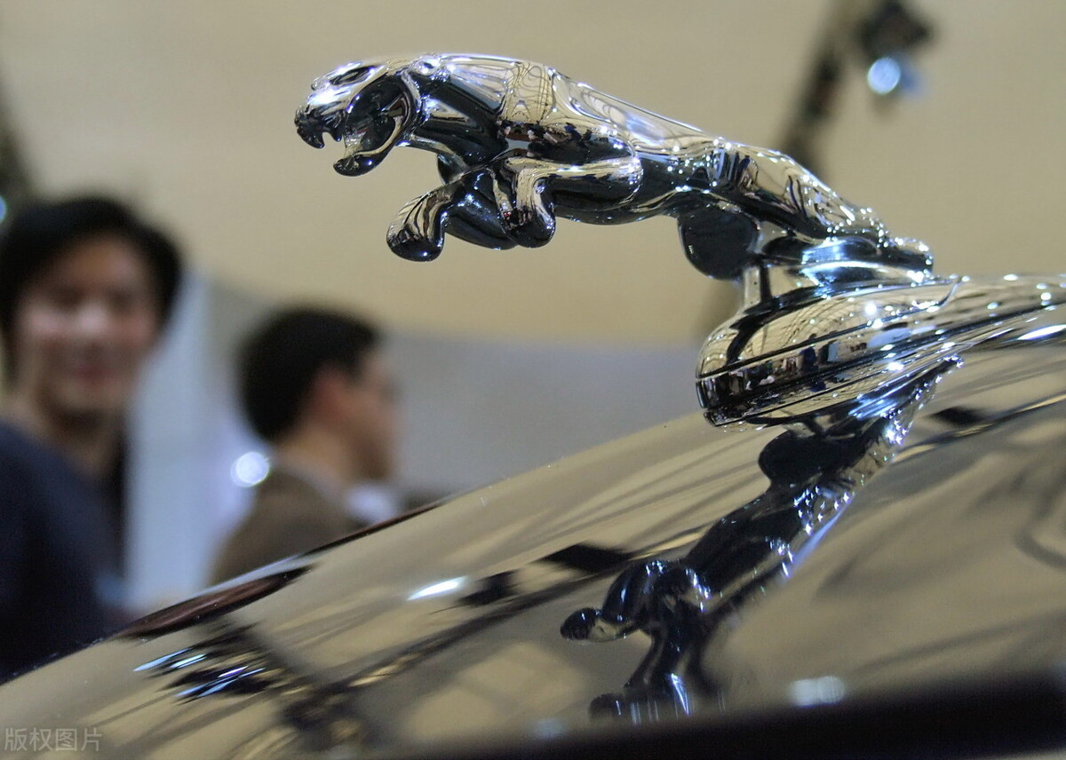 印度人说咖喱味英文,印度英语咖喱味日本英语什么味