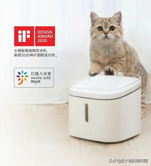 宠物饮水机漏电又爆炸？怎样才能选到安全放心的宠物饮水机？