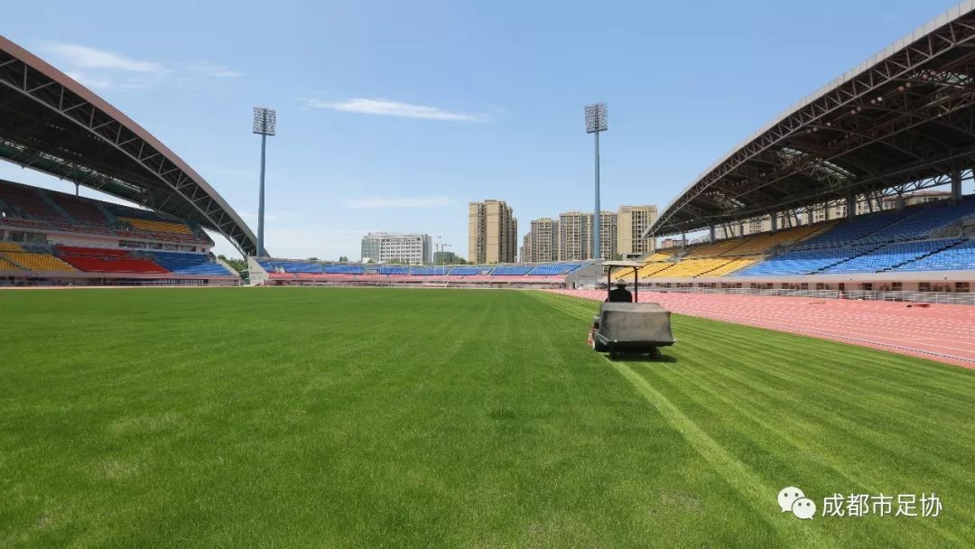 2019年“熊猫杯”国际青年足球锦标赛本月在蓉开战