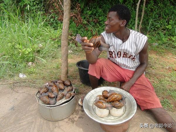 鍏ヤ镜瓒呭ぇ铚楃墰,瓒呭ぇ铚楃墰琚嚮鐜嬪浗