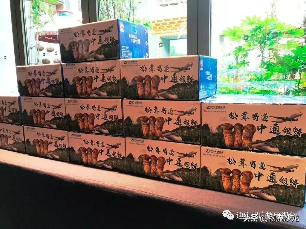 敢为天下鲜!中通快递发布2019年「香格里拉松茸」寄递方案