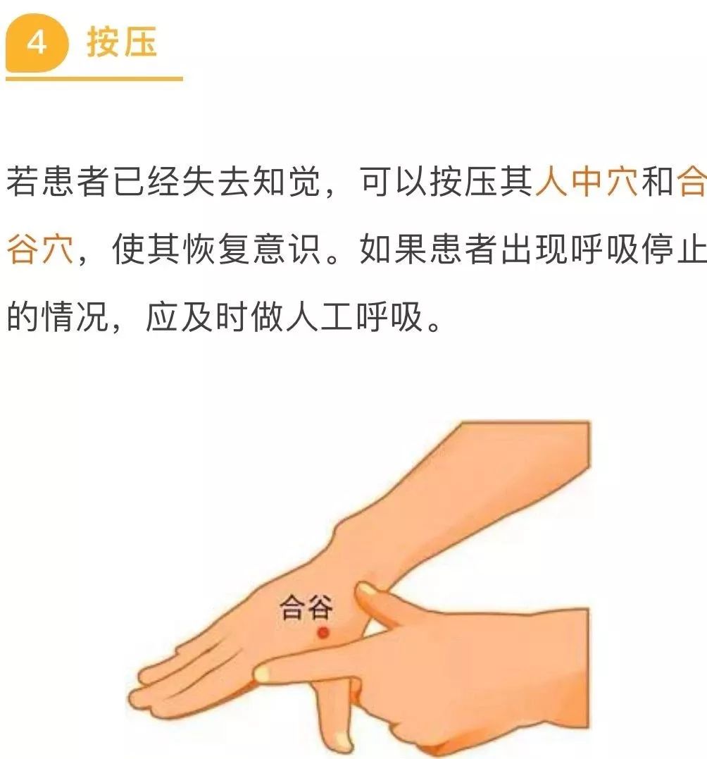 弗兰人是谁,弗兰人的含义是什么