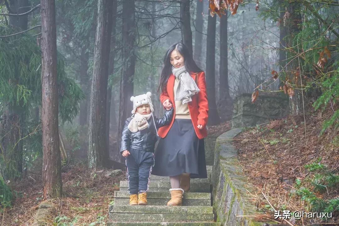 南方也能下雪吗,南方也能见到雪