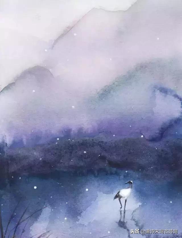 年少不懂这些诗，待到懂时已惘然