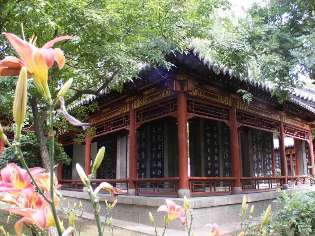 迎泽公园旅游攻略路线推荐,迎泽区景点旅游攻略