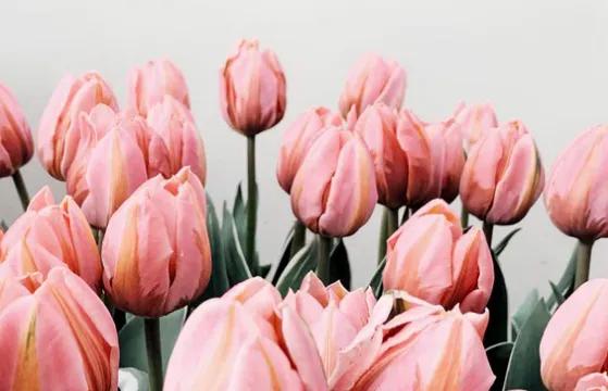 密友解除会有什么影响,密友解除自己还能恢复吗