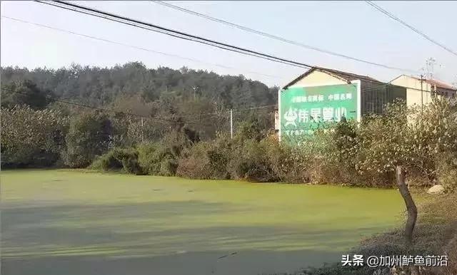 井水最佳调水方法,水质正常白天没口怎么调水