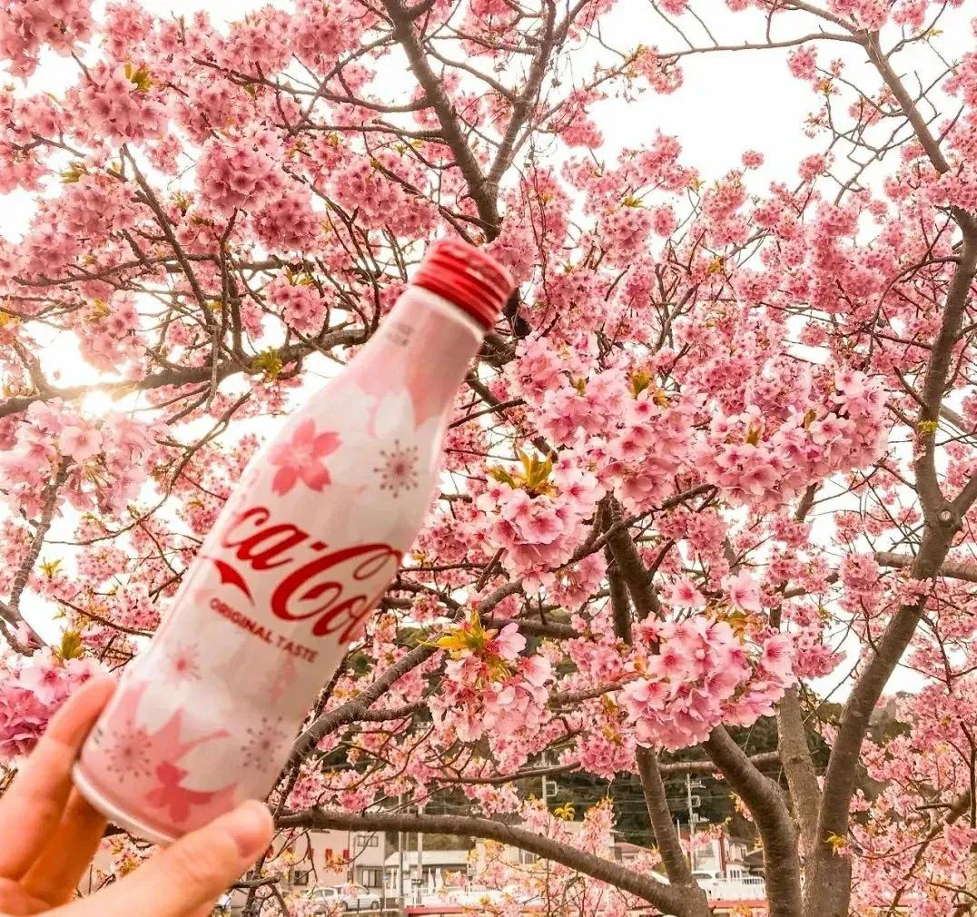 万物皆可盘系列分析,万物皆可炒鞋