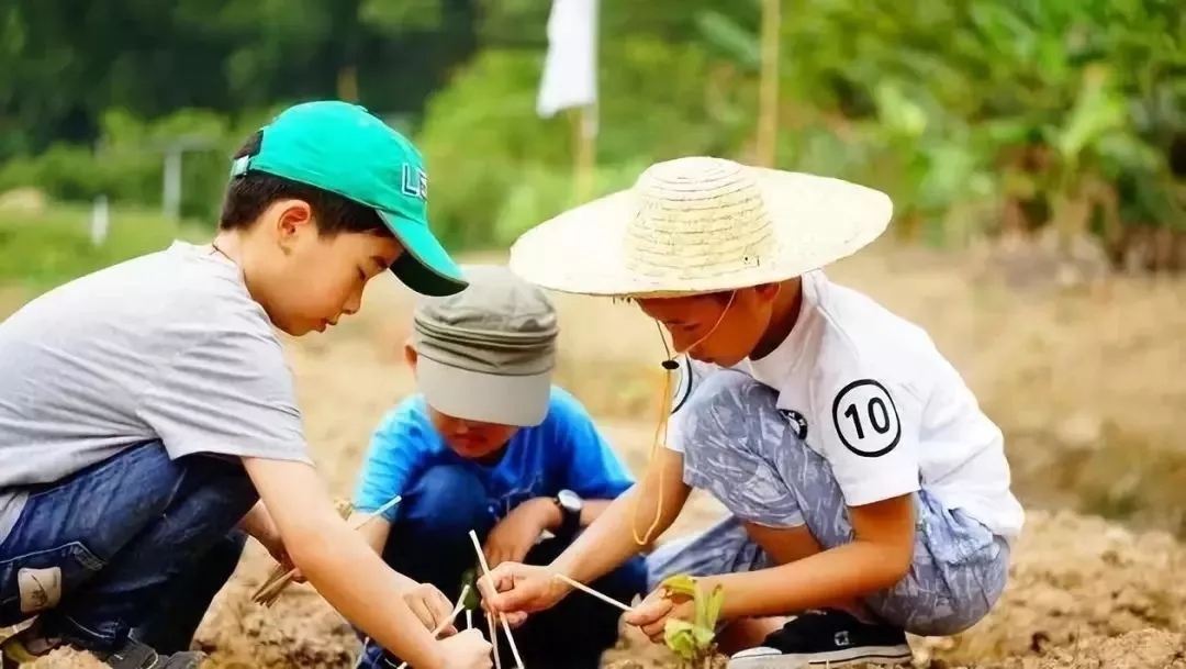 惠州罗浮山温泉旅游攻略,惠州罗浮山风景住宿区