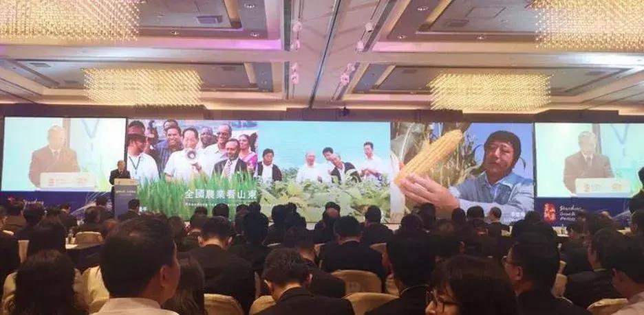 对已婚女人表白她很紧张,她想跟你表白