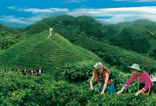 广西百色靖西旅游景点,百色西林十大旅游景点