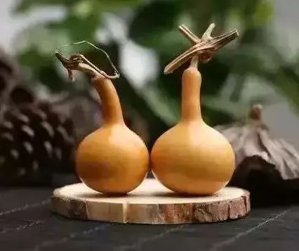 文玩葫芦龙头生虫怎么办,文玩葫芦如何避免损坏龙头