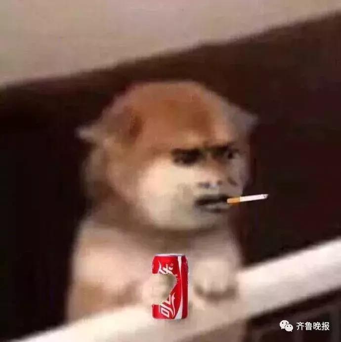 美女代购被罚550万判多少年,代购违法是行政处罚还是刑事处罚