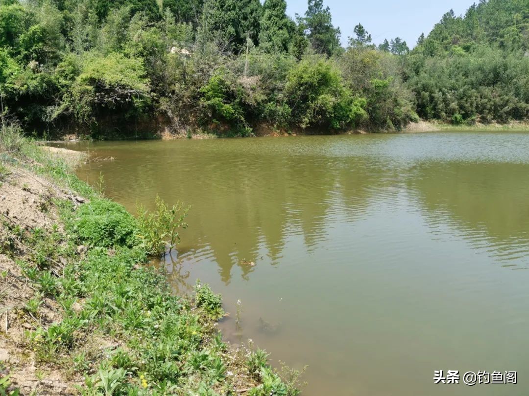 钓鱼时竿稍断了有啥办法,竿稍断了一节影响钓鱼吗