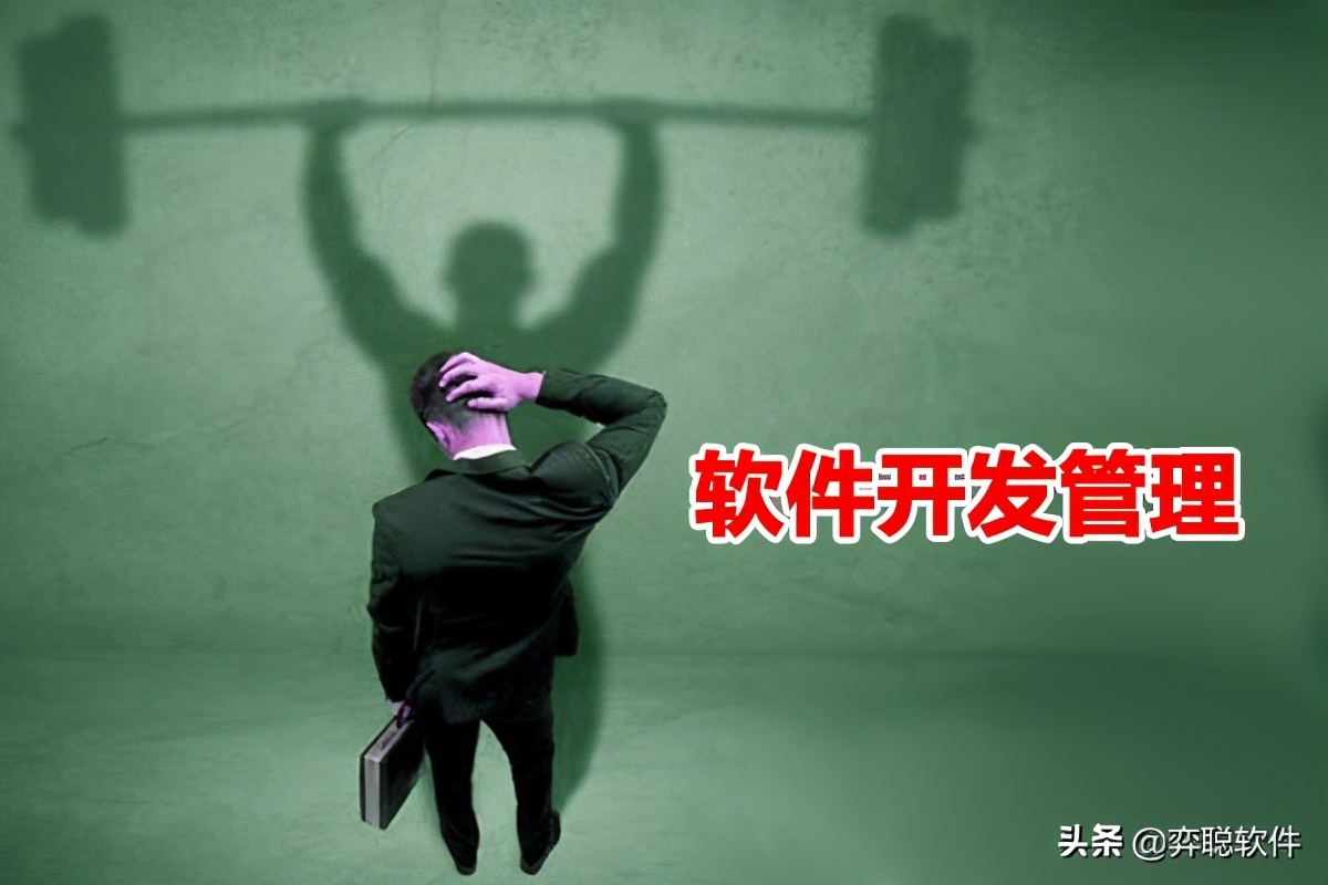 对软件开发管理的认识,软件技术开发管理