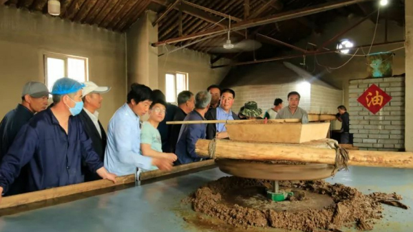 农村创业项目推荐零食,农村创业项目推荐书籍