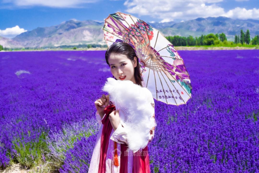 旅行中的故事讲述,旅行过程中的故事