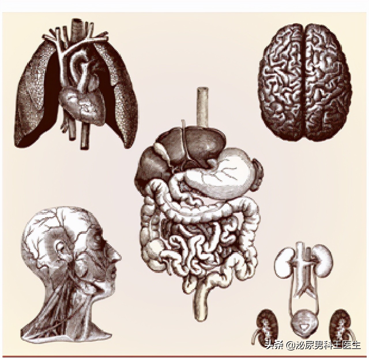 25岁前列腺增生是什么原因引起的,前列腺增生最好的治疗方法2020