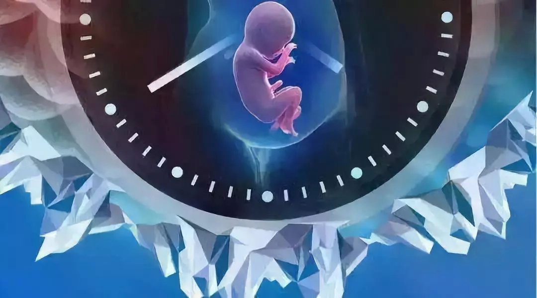 amh是高好还是低好,检查amh是什么意思