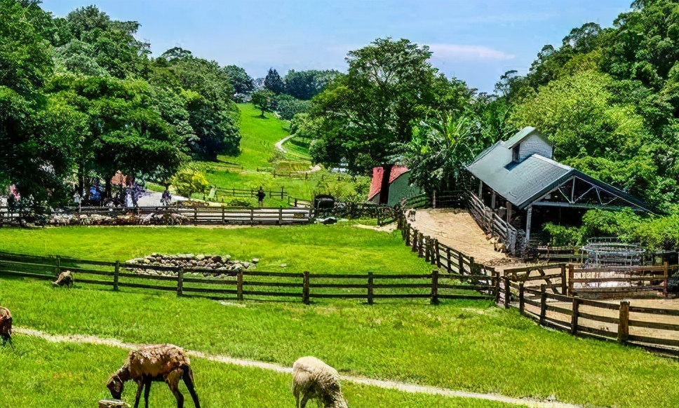 休闲农业市场风险分析与规避措施,休闲农业与乡村旅游市场定位细分