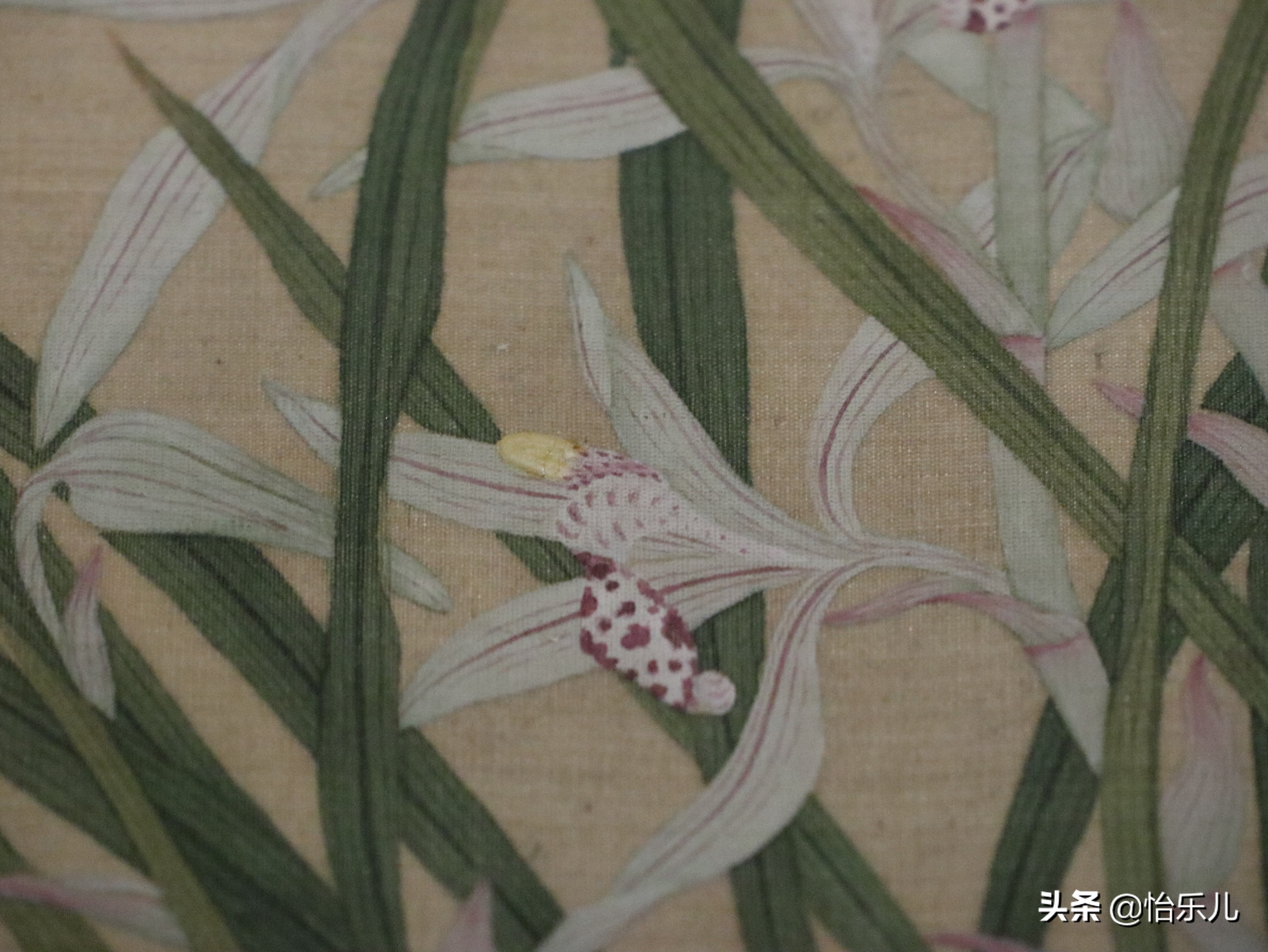 富贵吉祥平安如意哪个是上联,富贵平安寓意的花