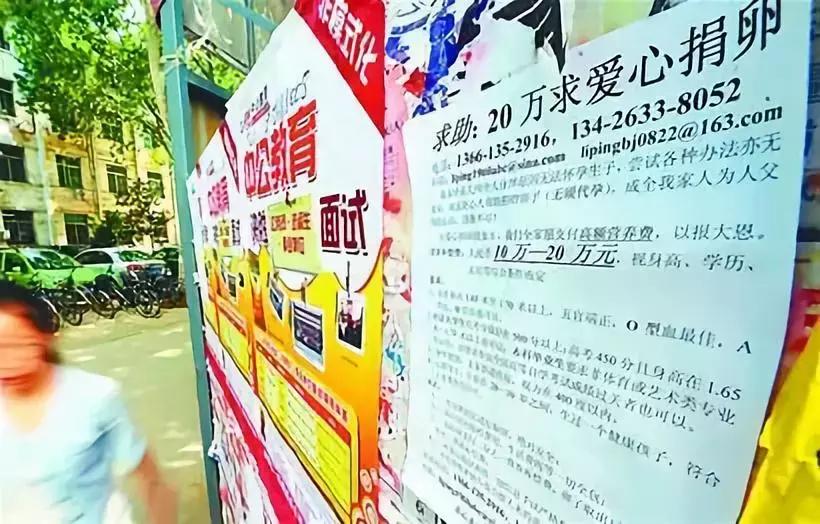 网上介绍代孕骗局,代卵代孕行业背后黑幕