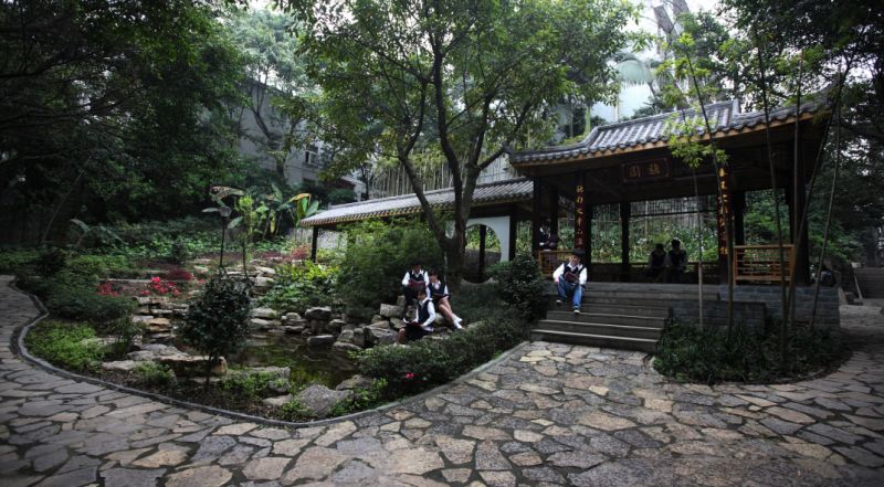 铁路高中选择学生标准,选铁路要选对学校