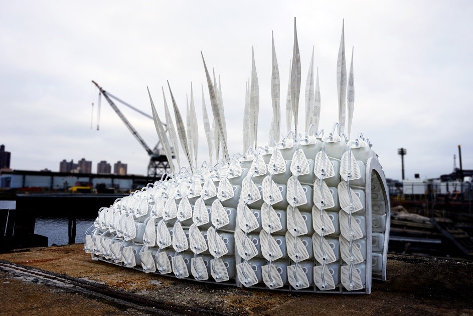 食用蟋蟀养殖赚钱吗农村,食用蟋蟀养殖