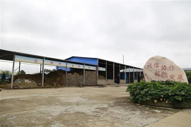 秸秆回收变废为宝新闻,秸秆就是这样变废为宝的