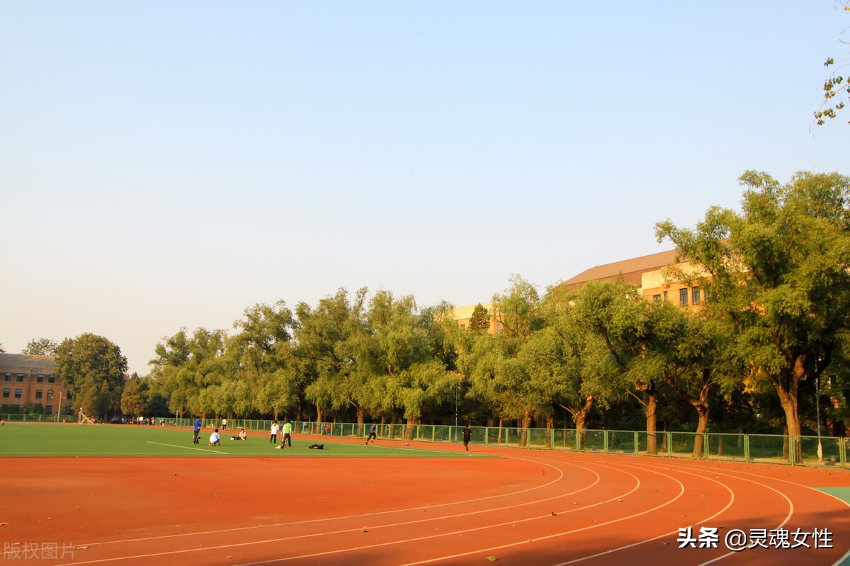 写作文观察力训练的十个方法,优秀专注力训练方法