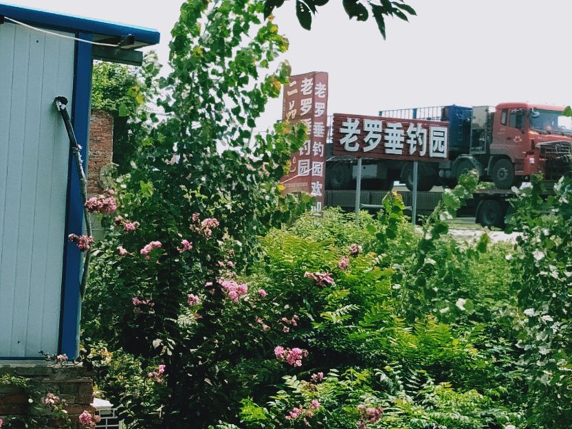 老罗垂钓现场,老罗垂钓园在哪