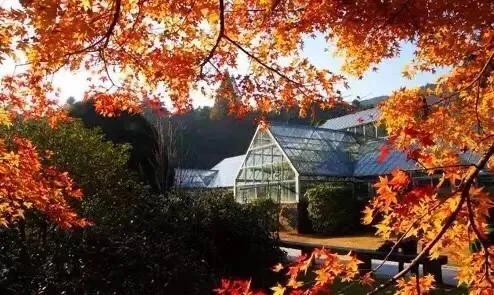 江西十大旅游秘境,春节绍兴去江西十大最美自驾路线