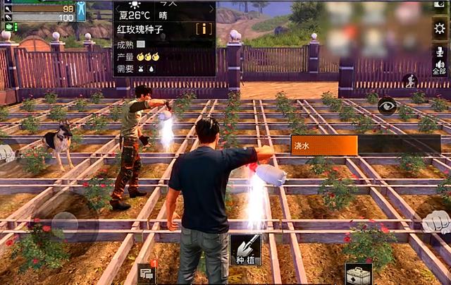 明日之后同居之间的故事,明日之后同居语音