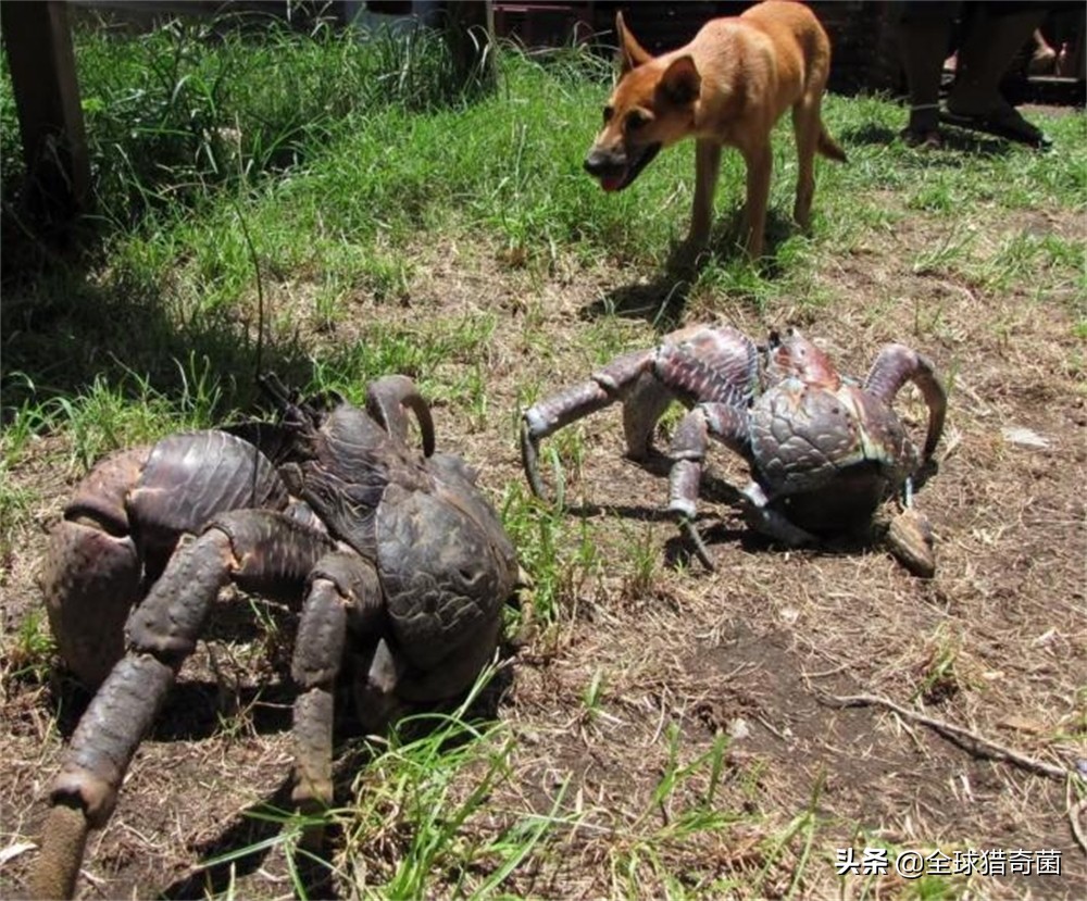 word一般字体大小是多少,word字体大小是多少