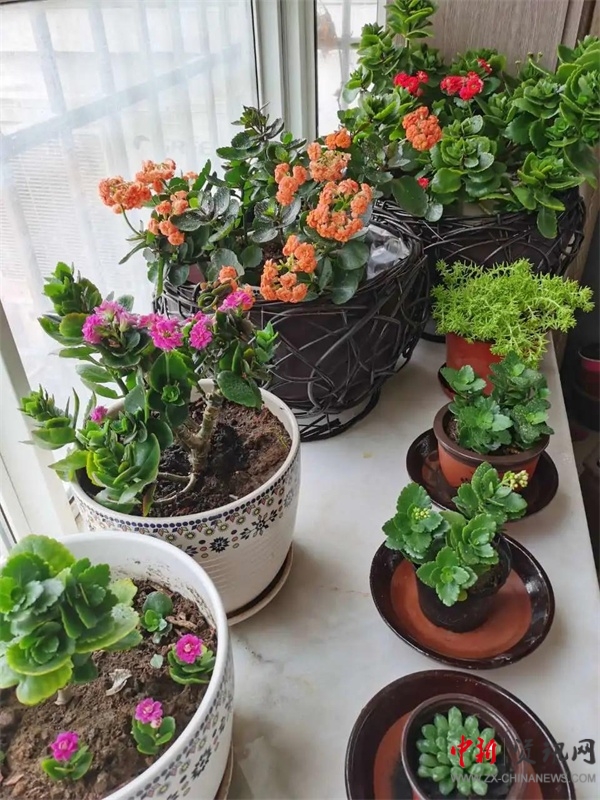 ISQS|全课程的魅力！国小学生在《秘密花园》中寻找成长的魔法！