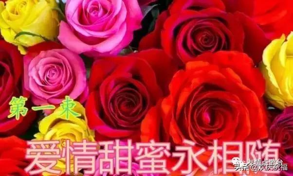 情人节最美的祝福送给最在乎的人,5月21日情人节祝福语