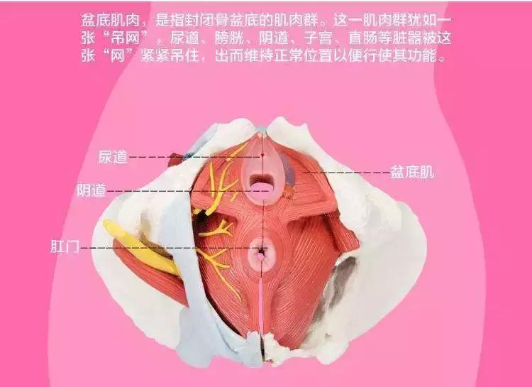 女性必备10大技能,最适合送女孩子的高逼格礼物