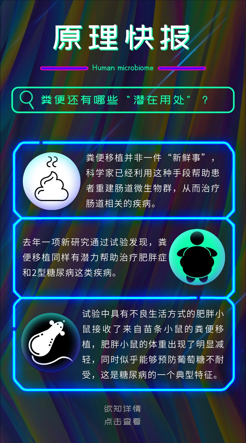 你的身体里隐藏的远古血脉,你的身体里藏着无比强大的能量