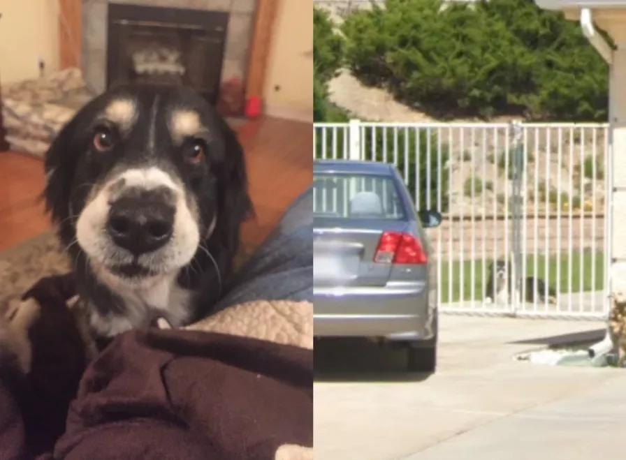 用谷歌街景来探索世界,回忆谷歌街景