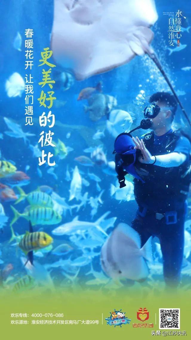 龙宫大白鲸早上几点开门,大白鲸龙宫最新消息