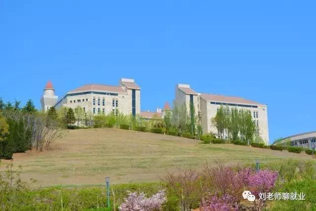 东软集团下属几家子公司,东软集团下属单位