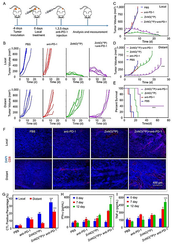 刘庄团队:自激发二维纳米材料,增强核素-免疫联合治疗