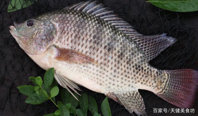 罗非鱼家常做法鱼片滑鲜微酸下饭,小罗非鱼怎么做好吃下饭