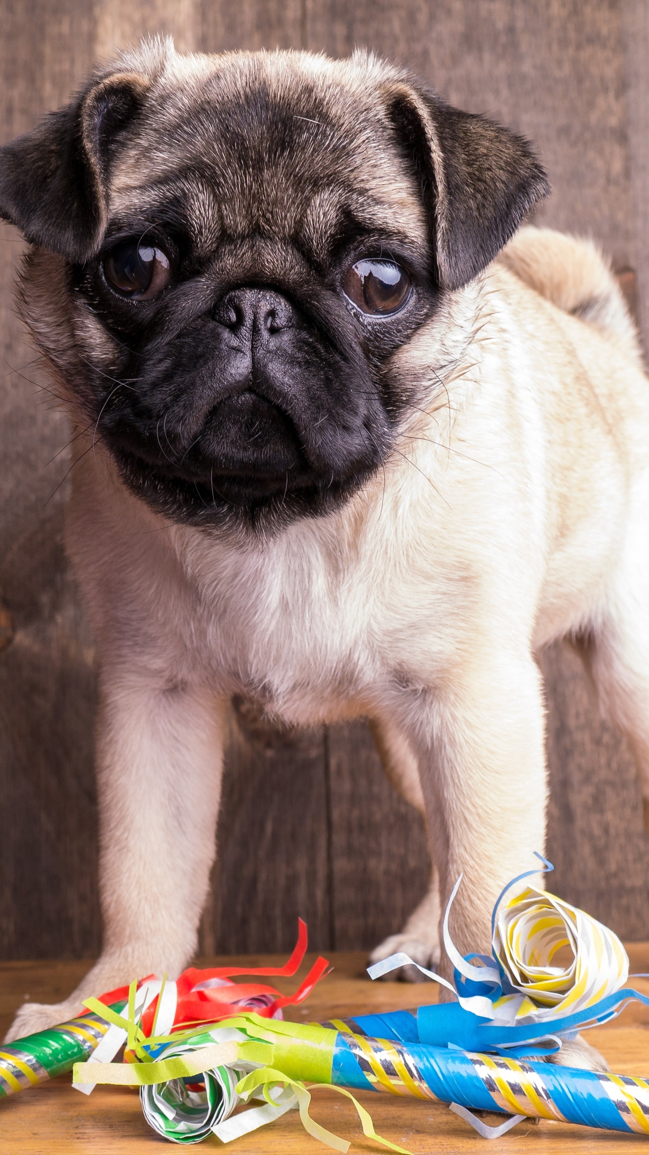 科学上网邂逅4K高清壁纸祝生日快乐贺卡素材，良心无水印系列专辑