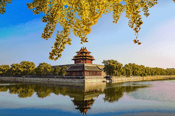 守国门的天使，“割韭菜”的恶魔——京东方