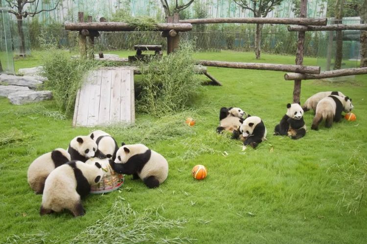 在上海适合周末放松休闲的好去处,推荐几个上海休闲好去处吧