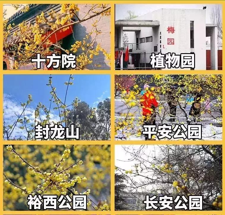 石家庄草莓采摘基地推荐,石家庄周边采摘园摘草莓