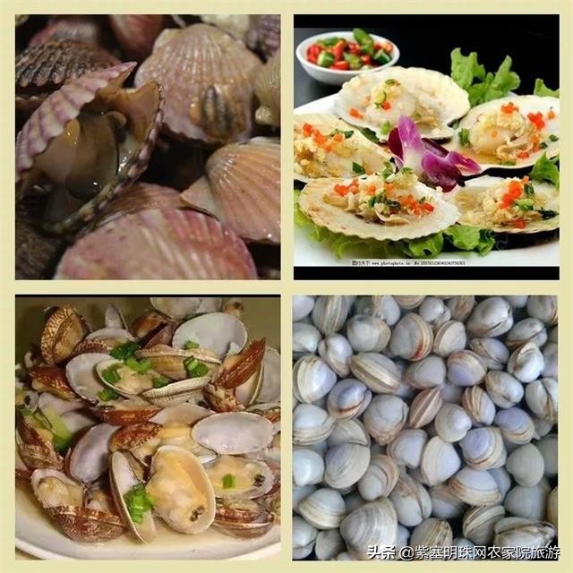 夏天去赶海抓螃蟹小龙虾,东戴河亿方客宾馆